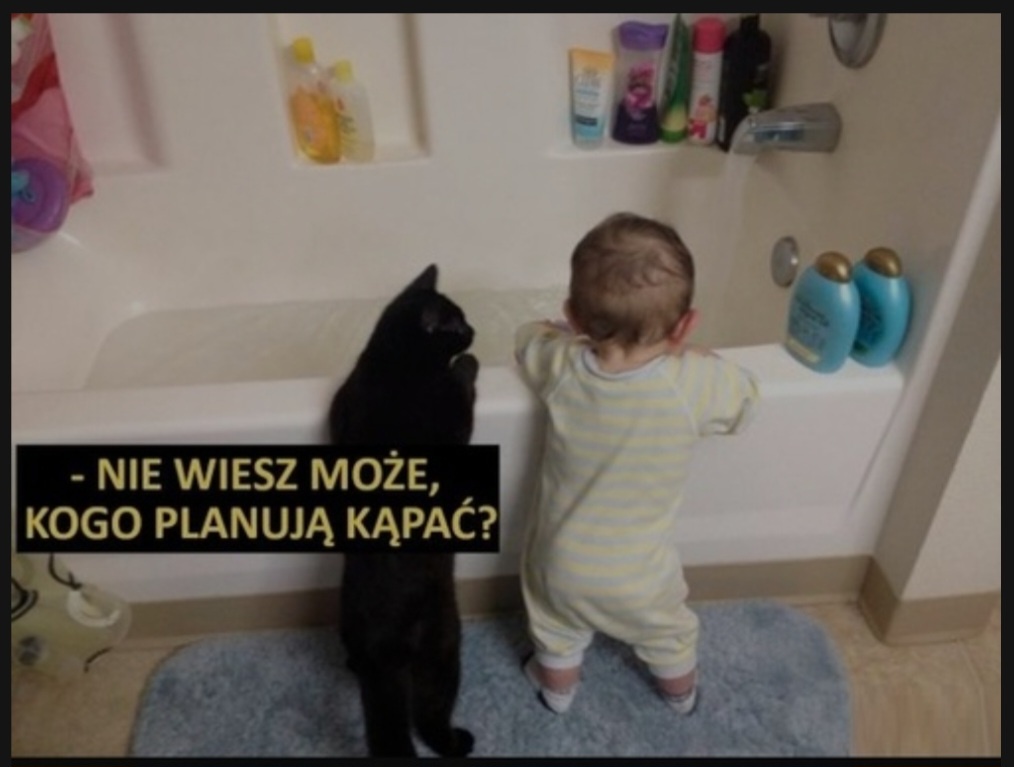 c2a13a5e-757f-4eb7-aafb-66a25e5deabd