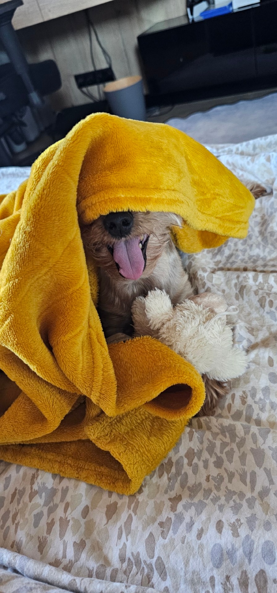 bceb63bf-4087-44d7-b089-217054697d77