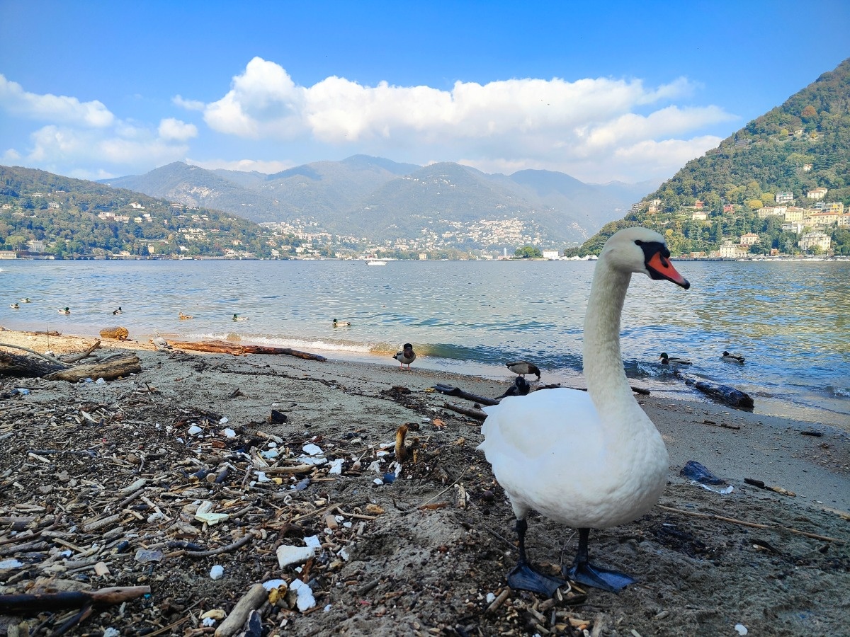 e3bd5037-4ab4-4adb-b110-46cce31afad1