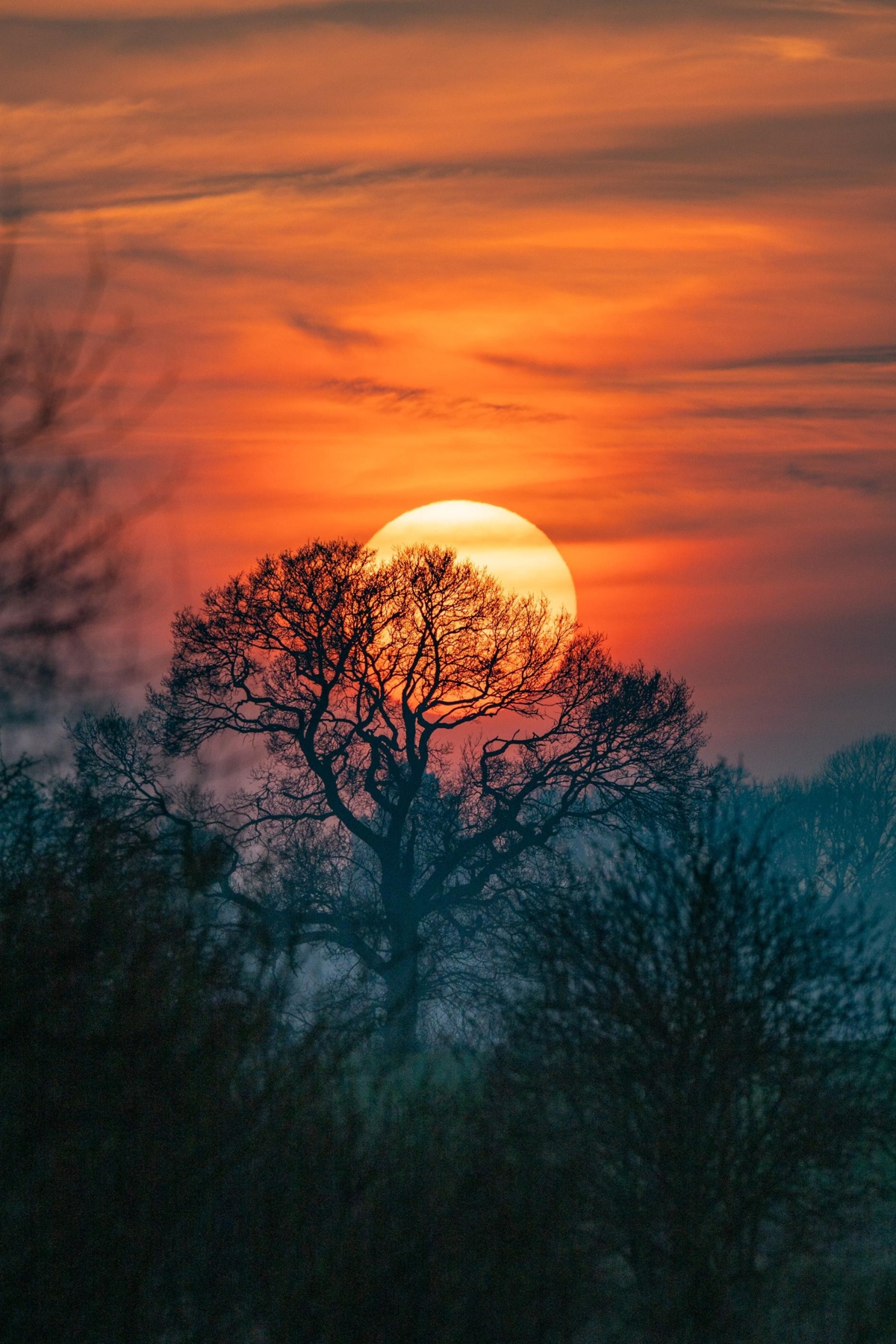 f6142646-59ce-479c-9008-bd0430afe63f