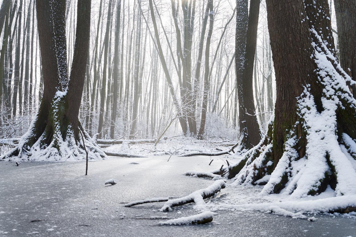 1b25c9f2-1cf1-499e-87f7-6c93464a7e7f