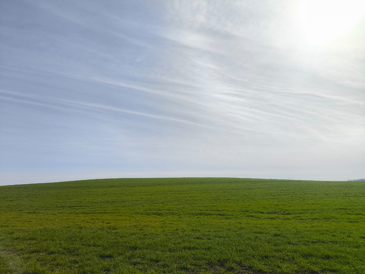 8b2efb7c-1029-4ef0-a9f0-ada1ab198d34