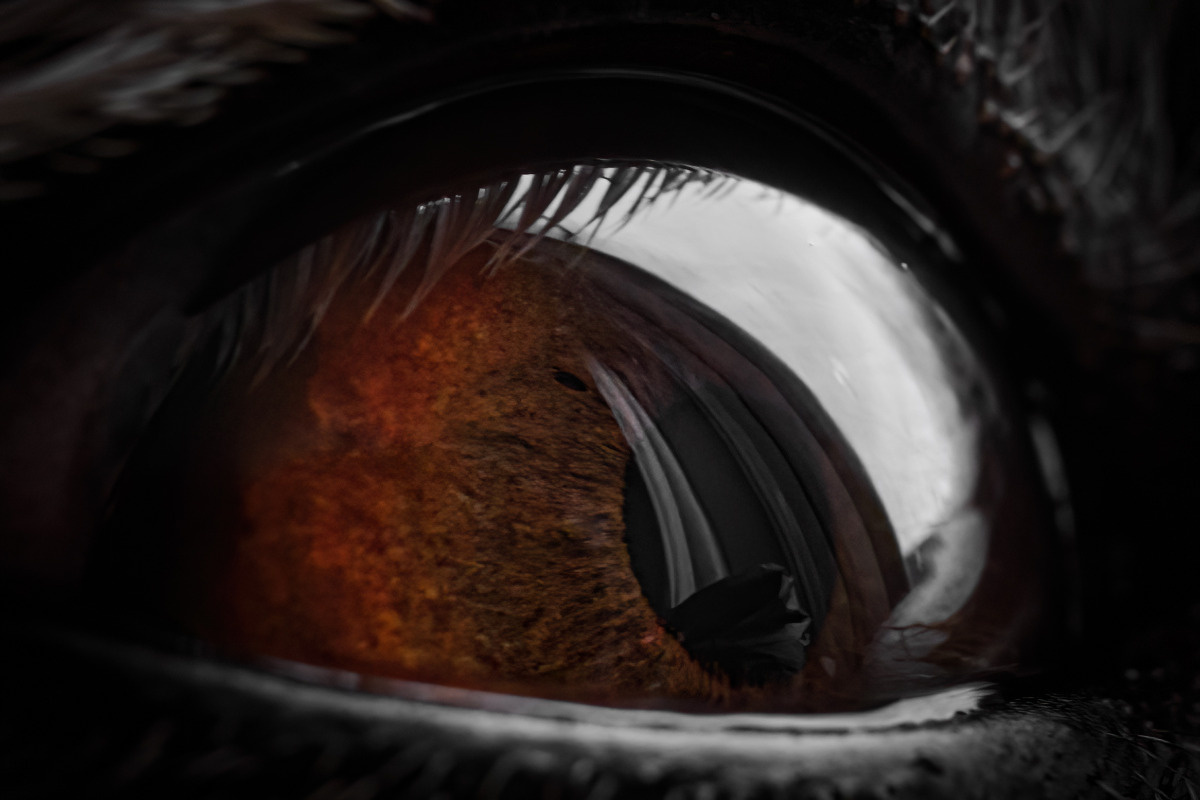 baf7f11b-636d-40d0-828d-603e8f288dc6