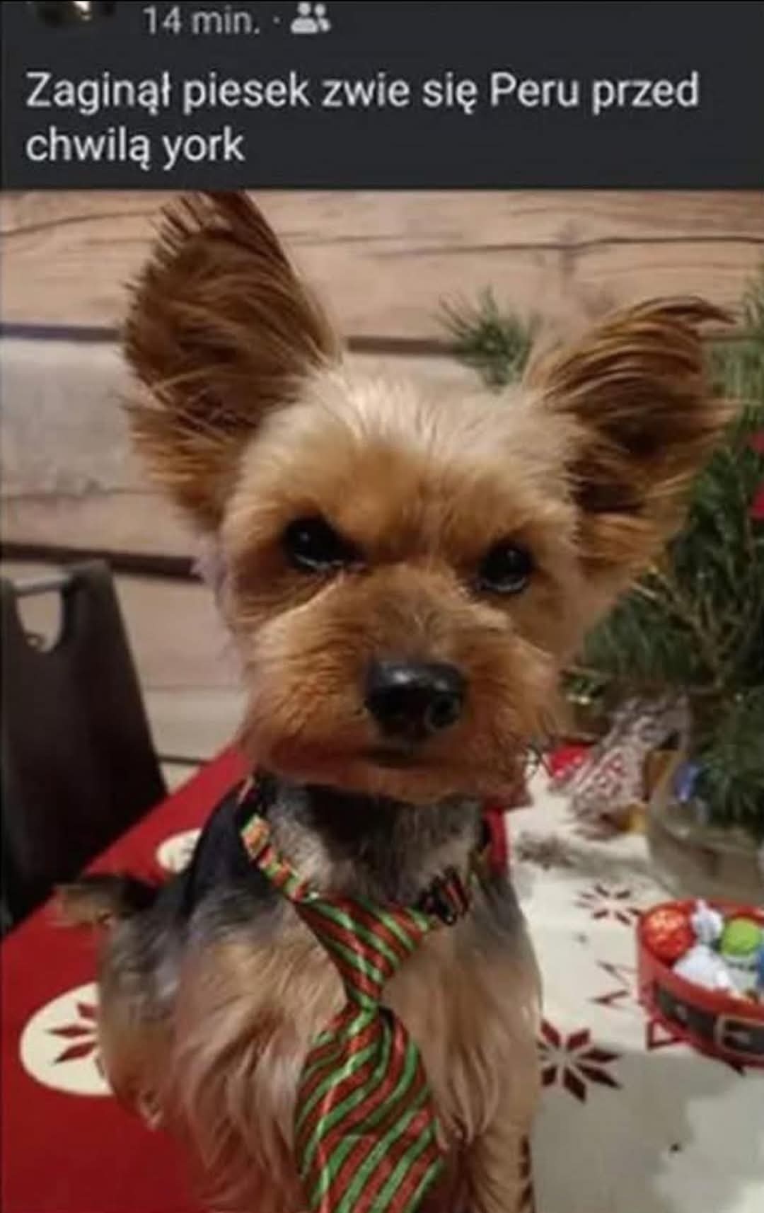 2541cd36-d26a-4287-bcf9-11dfba2f34eb