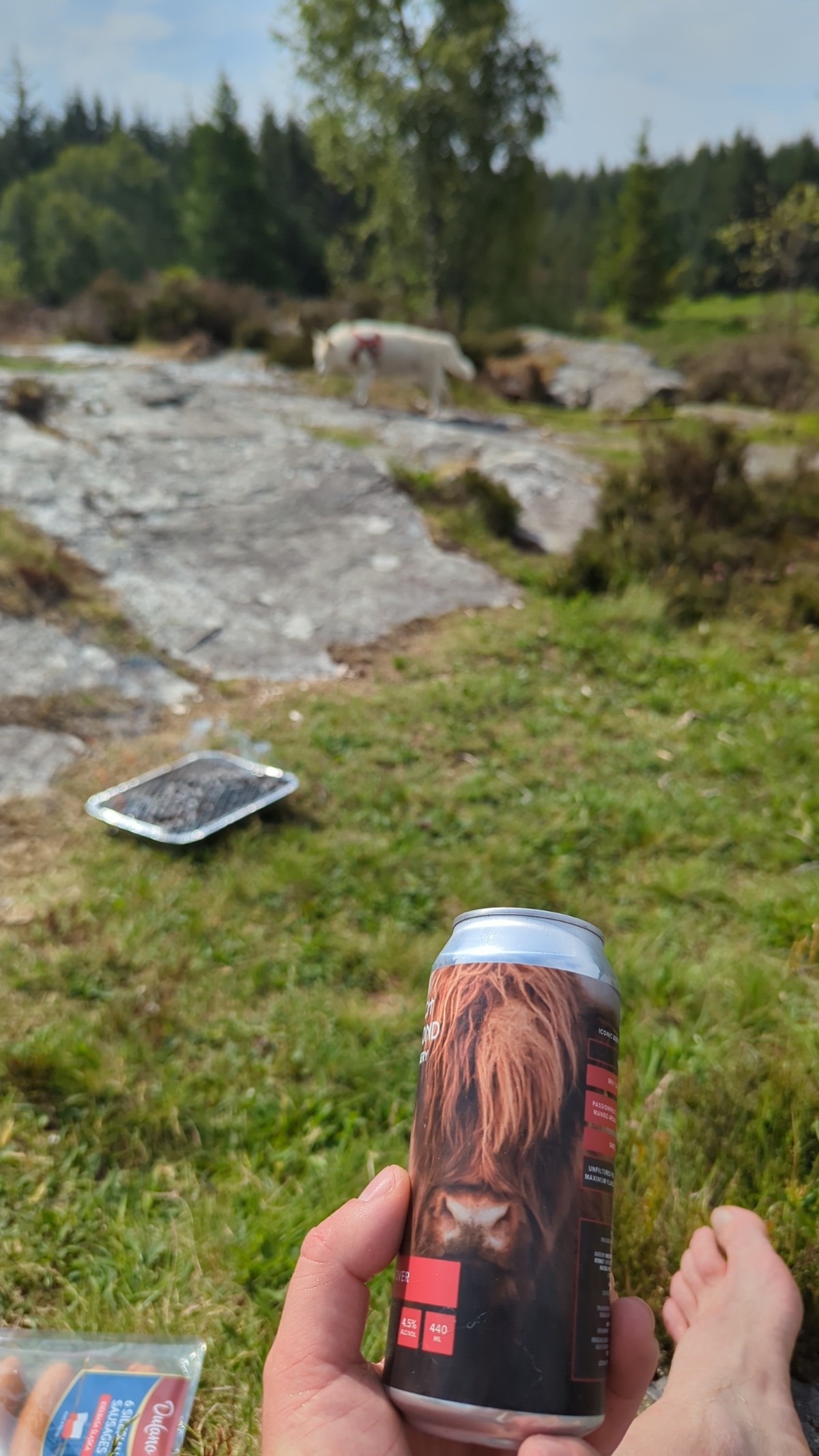 393f323f-0989-4b2e-9108-3bcf985338bb