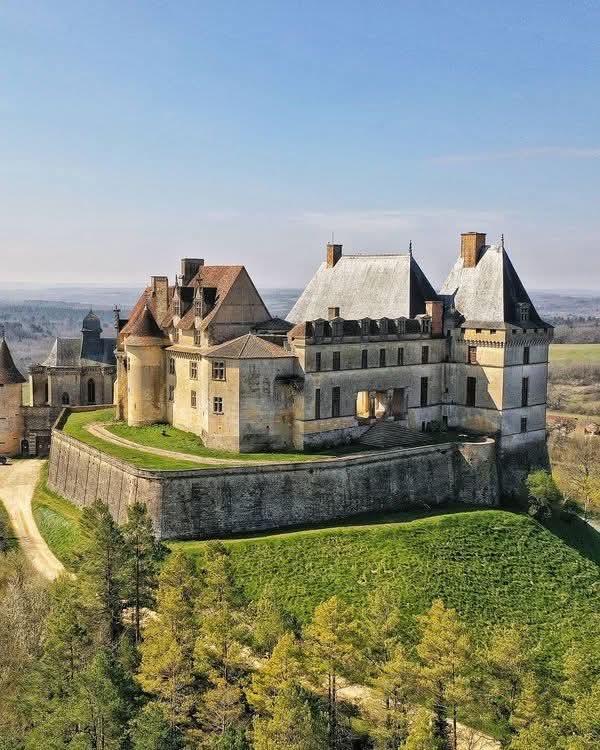 ae8b8808-85b1-4b97-b2c3-cfe67eb502a4