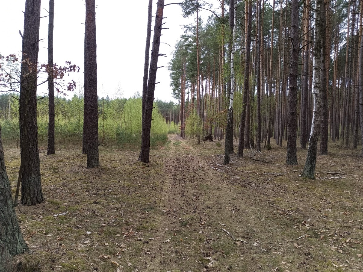 f14e704d-178e-4bb8-9297-d3693d3b859b