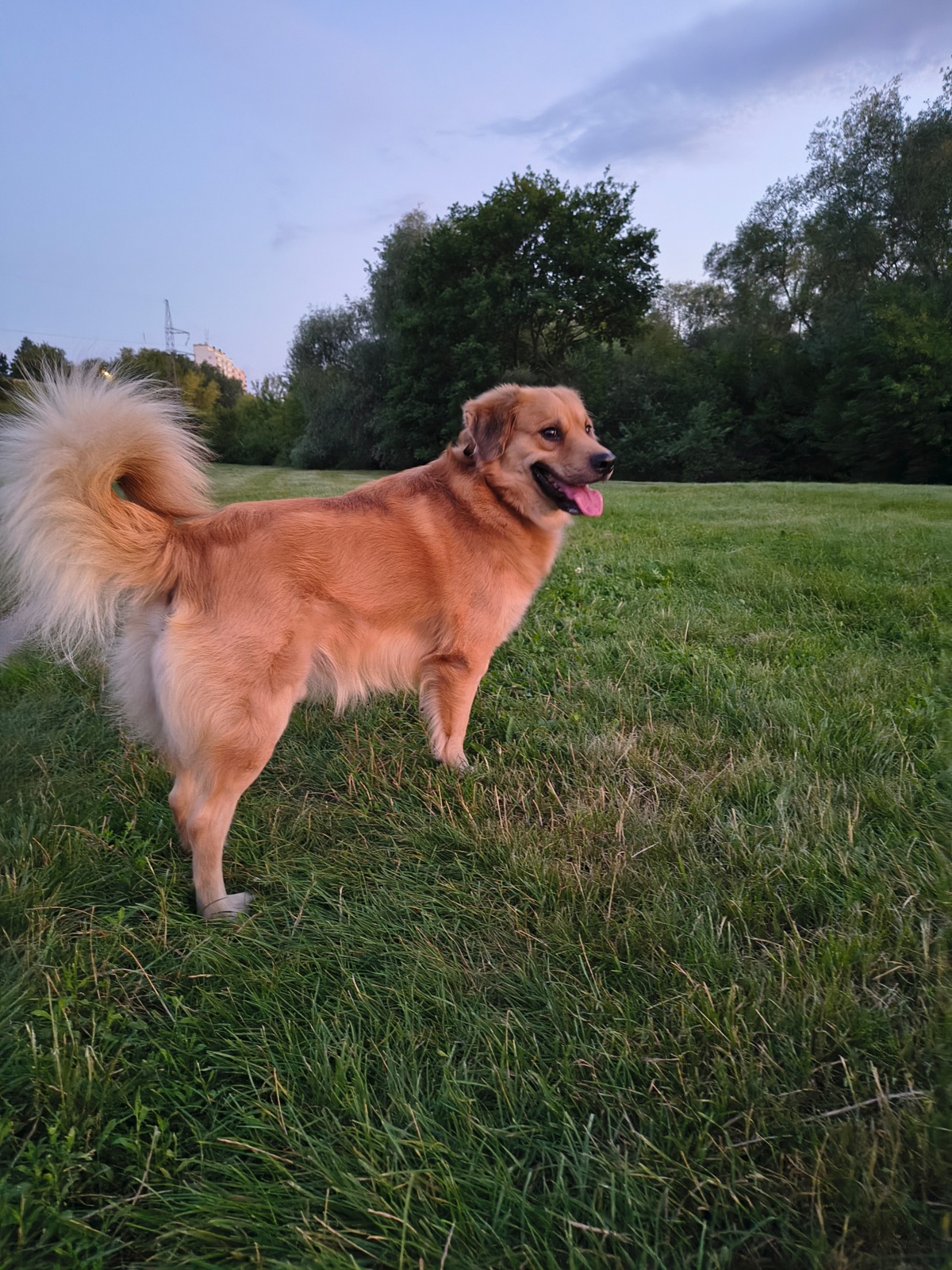 bffc43d7-043c-4e93-a7b2-caedc1b0ffcd