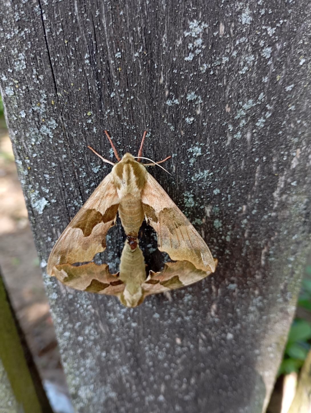 c8a1cf19-17fc-4e3c-bbef-f8499589344c