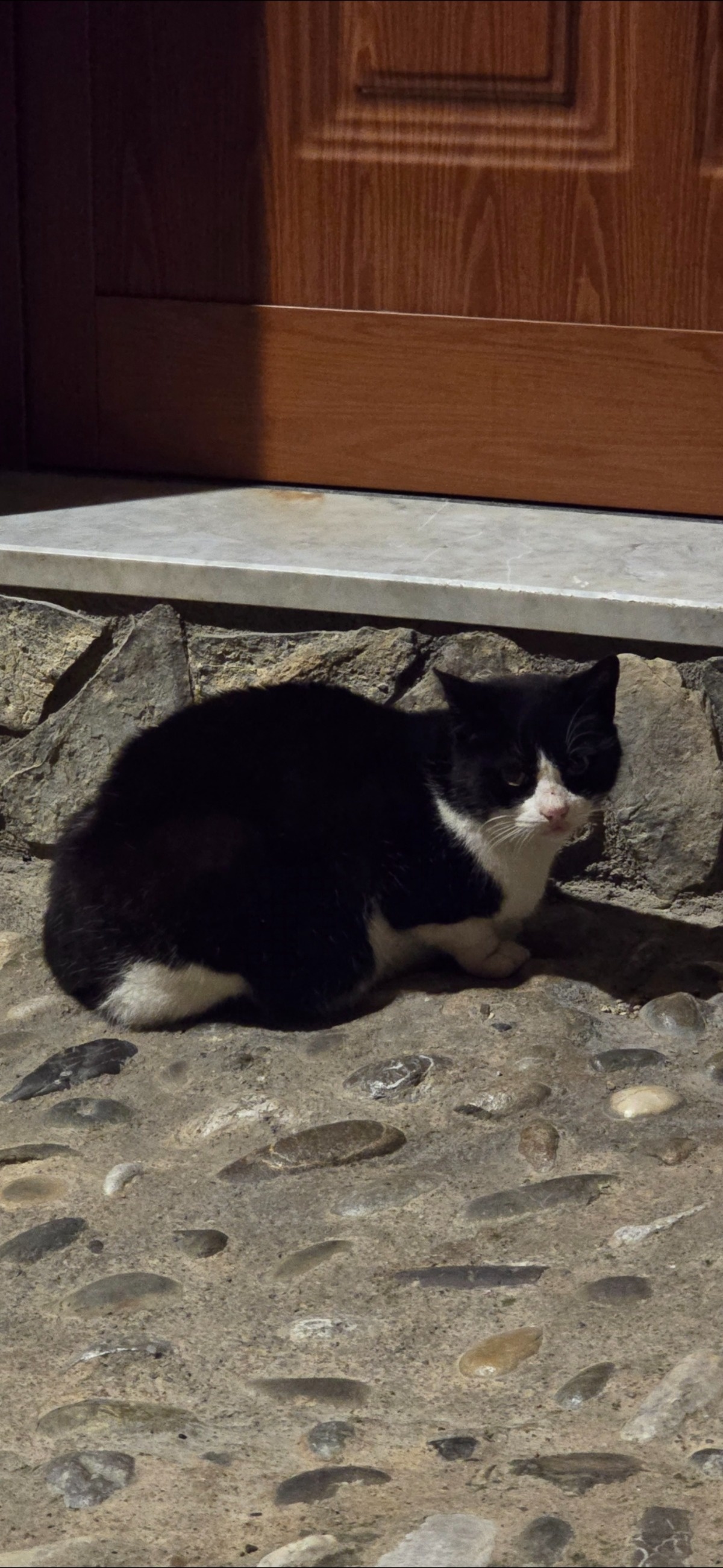 53b27a31-a45e-42ca-ac68-299f20929b79