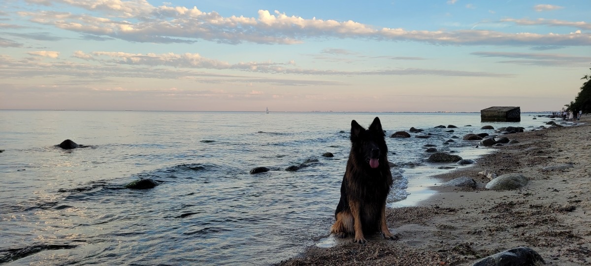 7e9f59ed-f77d-46db-9ab4-5bb1c0651f62