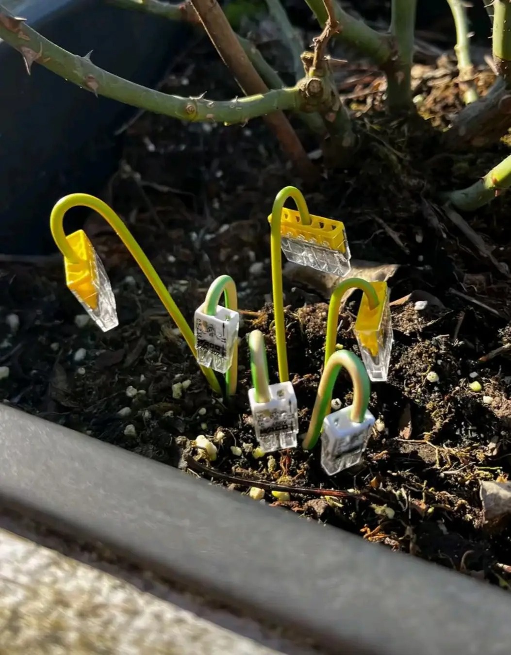 cb8467fe-848d-49b2-b524-b75cb207a2b9