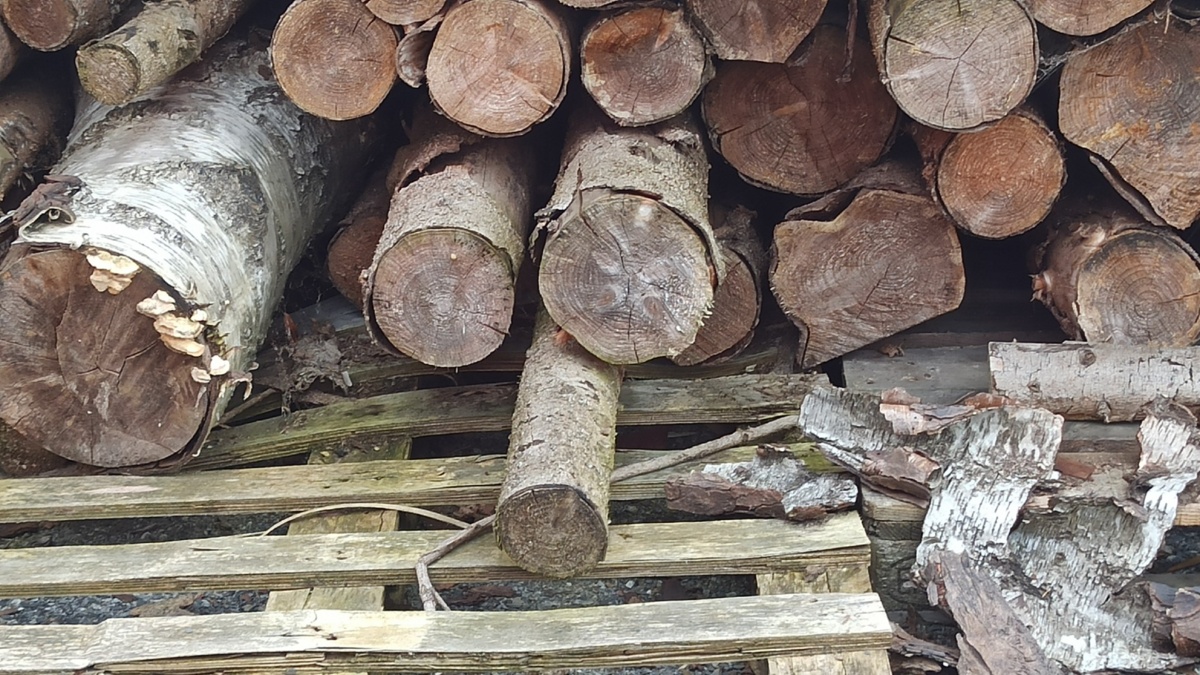 9d843d05-b94c-472a-9c53-76815ad4b8f4