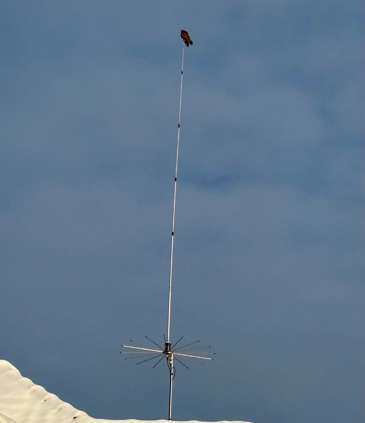 920ed2dc-e166-4400-ba37-ba8319636852