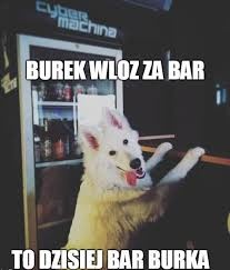 caa0f2bf-e0ea-4702-accc-7d00e925b07a