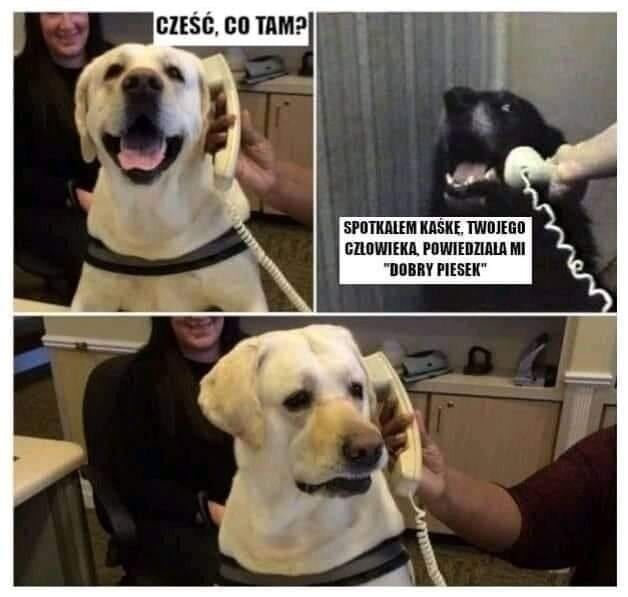 e96ec4ff-966a-4a98-afd6-3571835b15a1