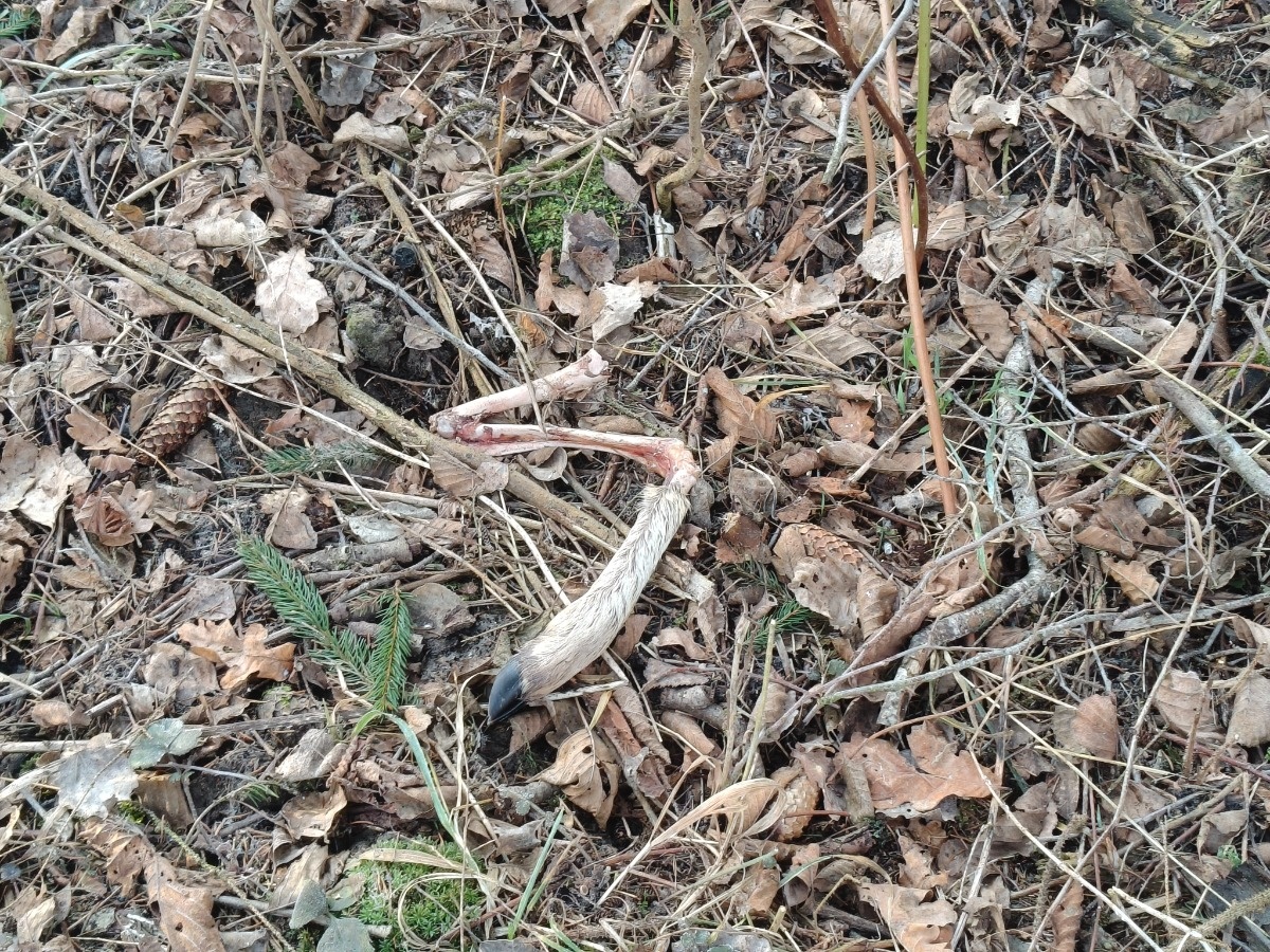 1fbdc18a-1873-4c8b-88f7-ad28020f96eb