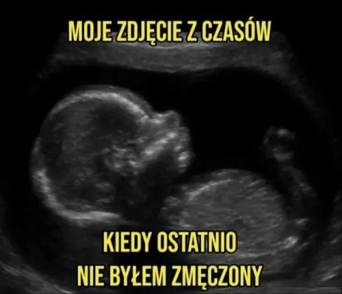 9b36b0fb-653e-4bd8-a2ff-8c1e126acc83