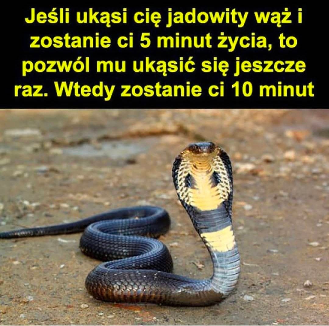 cf537376-cce3-48b7-b80f-e0fdadd0e72e