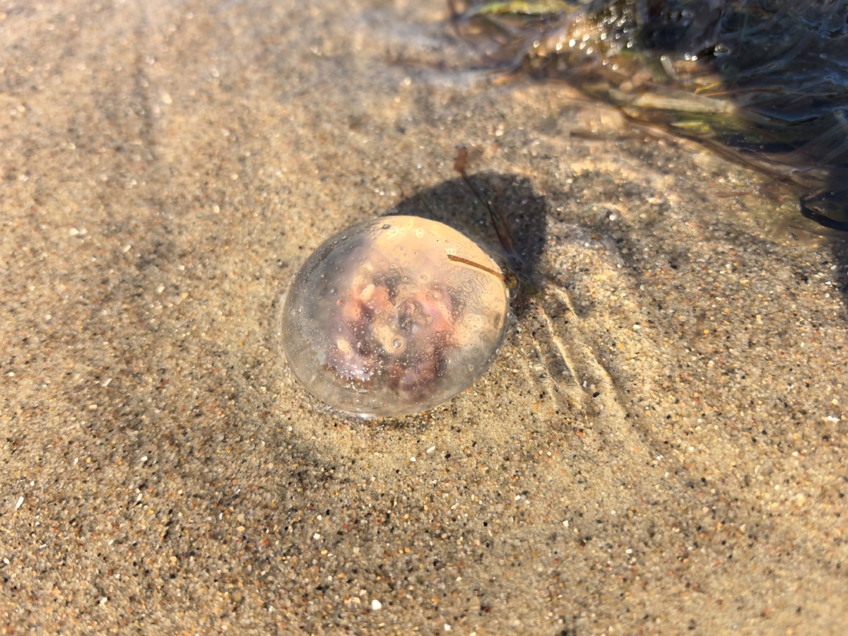 7eb543be-d854-4dda-98c6-069b3521a1ca