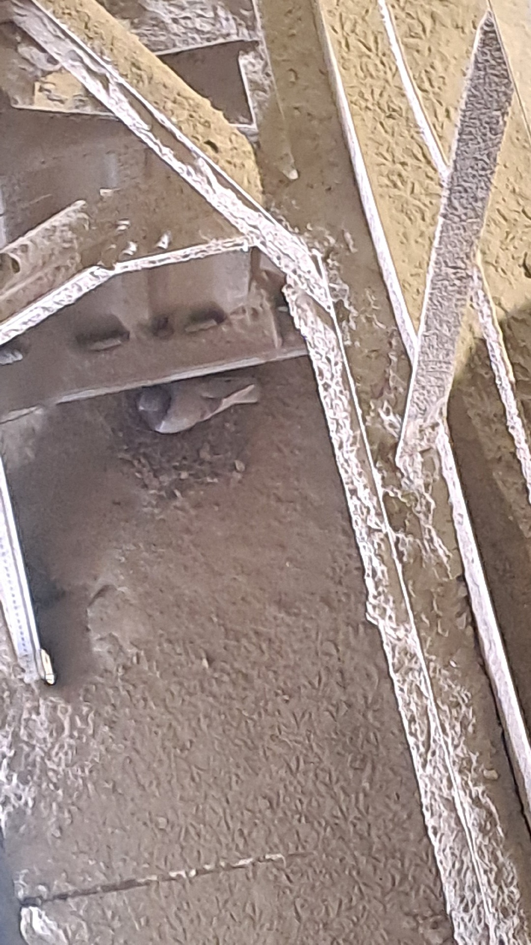 c2f2b2f0-cf2b-4a0d-9f0b-03b886fc94b7