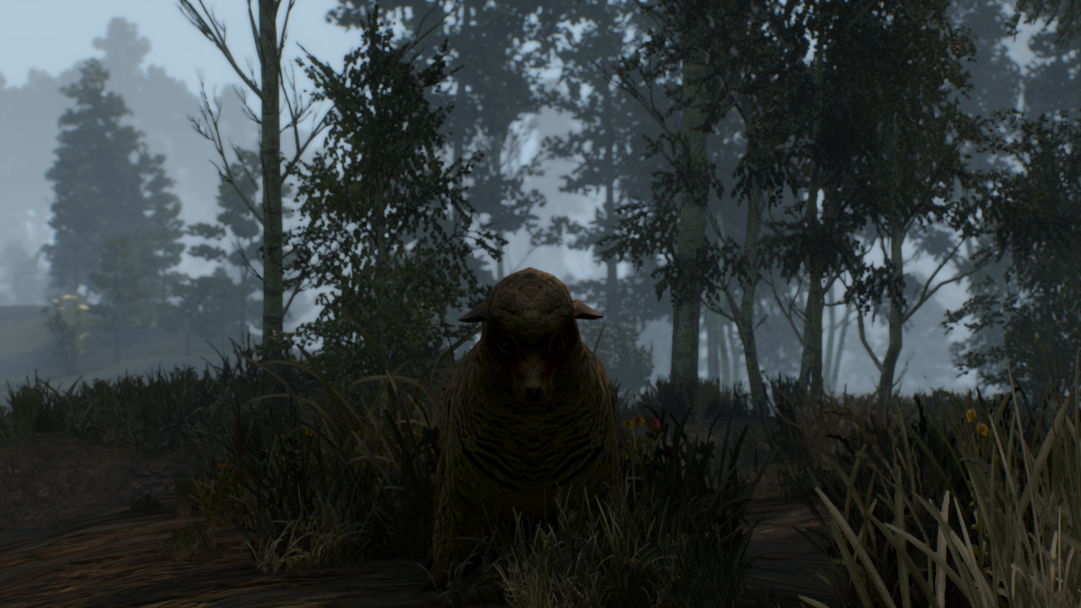 f2fc74bd-9531-47a8-8067-5f56ed34b3b6