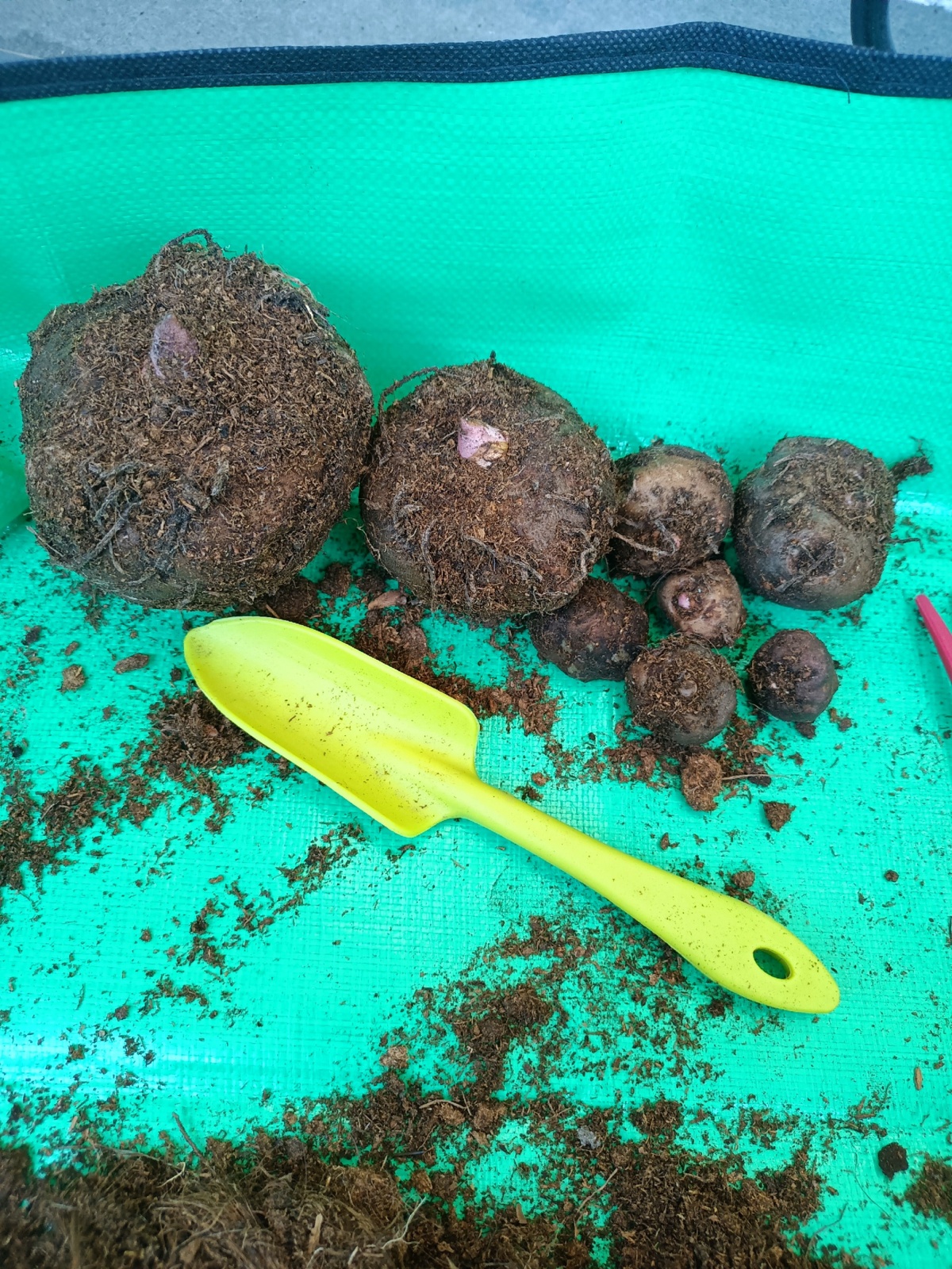 7060a9d3-c4e1-4b0f-b0ce-a99be5e241f9