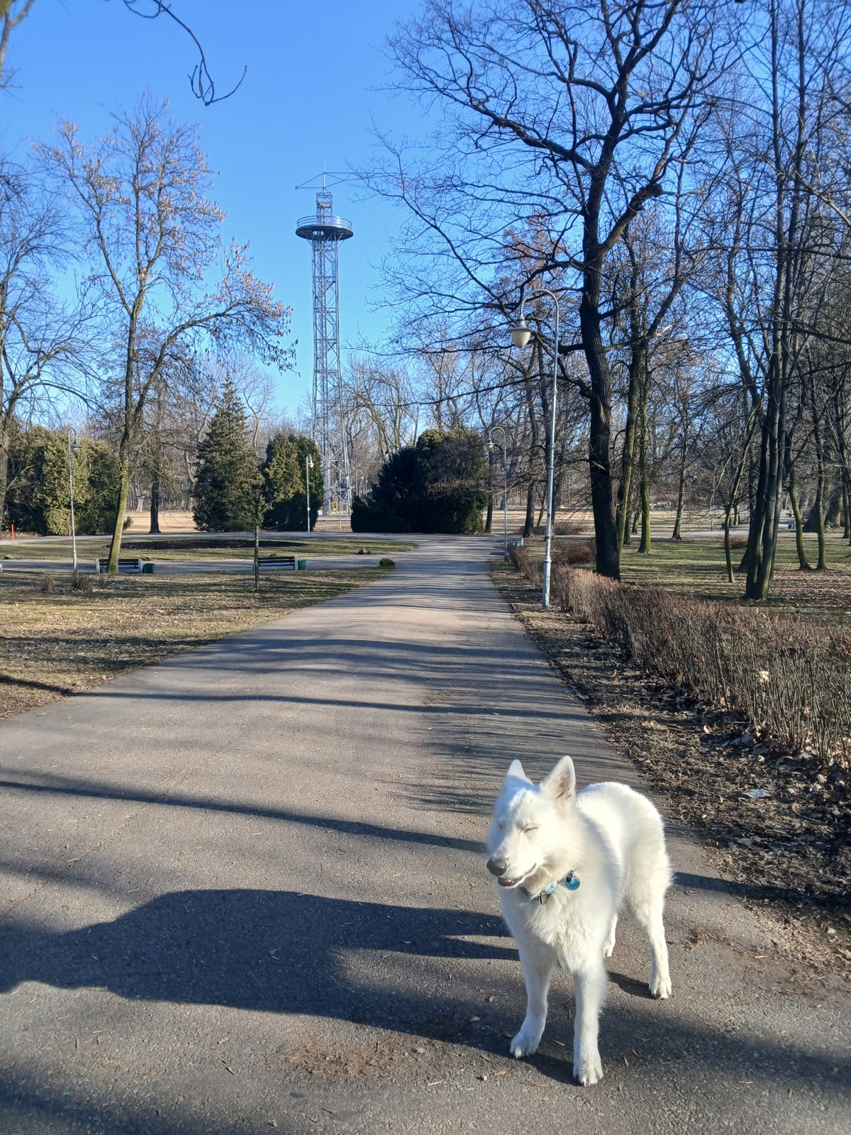 4fe74590-51d5-4ec1-9f42-997d82dcd07a