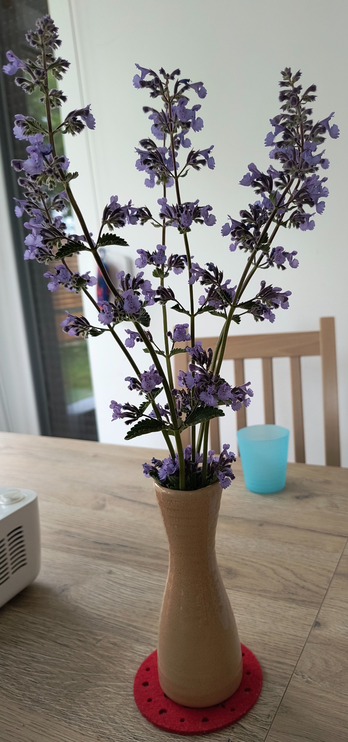 d571fe2a-3370-49bc-9a98-d1a40c7cd8af