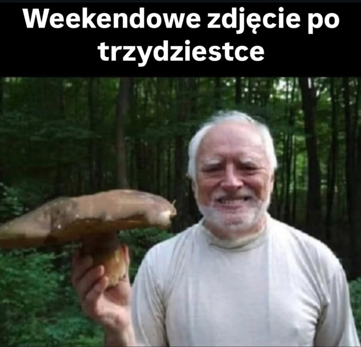 717bd1ea-a72e-4374-bb71-ec10ebaac560