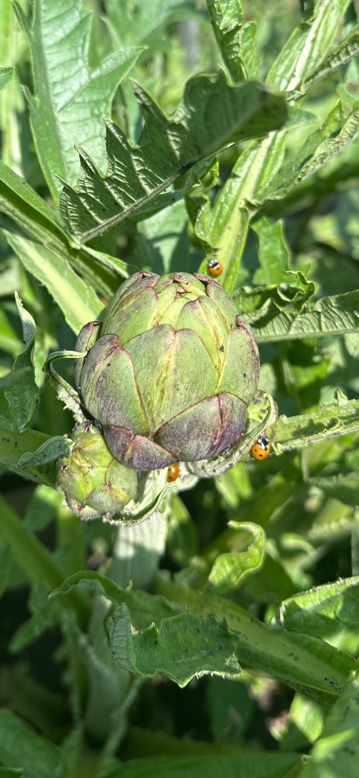 0fb3345a-0b45-49d9-8482-898439a6afb6