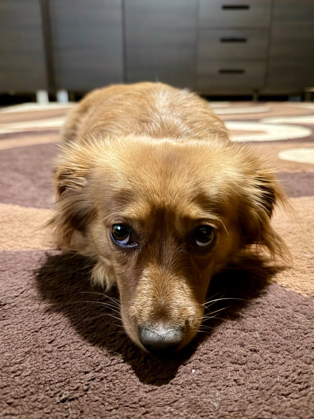 886c7995-5bc2-4736-a7ad-59f39bc9ed4c