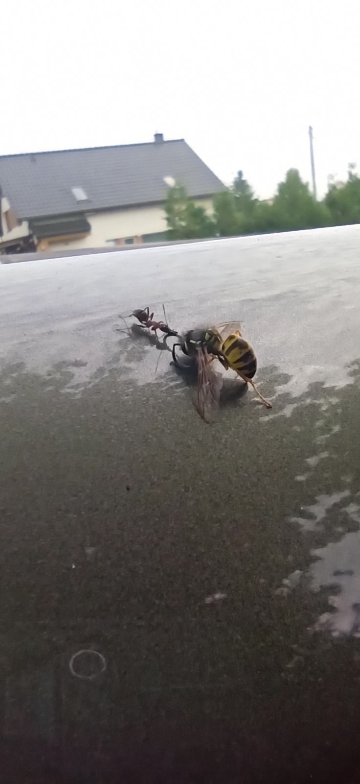 dbabcd7d-c0ee-4a3a-ae58-35291e91961b