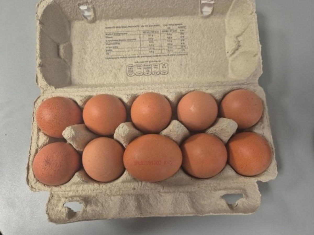 Salmonella w natarciu. KOKO Jaja z chowu ściółkowego, klasa A, średnie M z oznaczeniem 2PL02181302 K-2