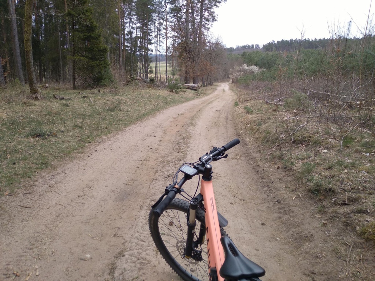 90aab118-7e3e-4072-868b-aa929373b567