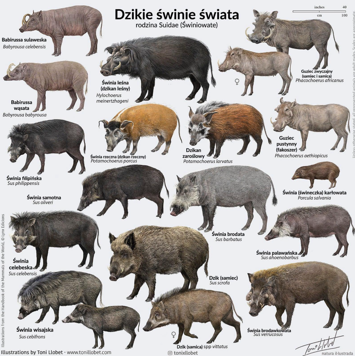 076378d5-23b6-498f-bdc3-a6456cfc5efb