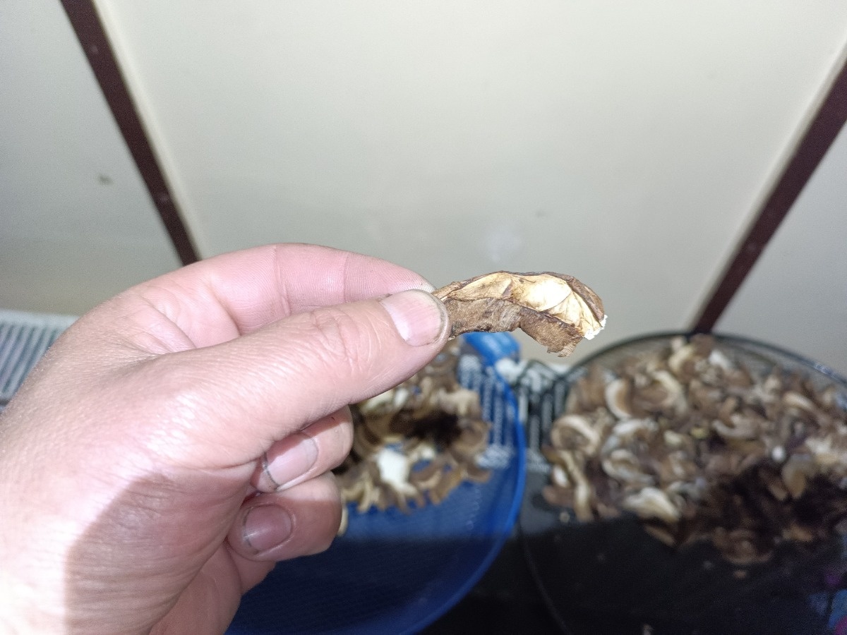 d9049b9b-db29-4801-8a53-a5c87c3ebe40