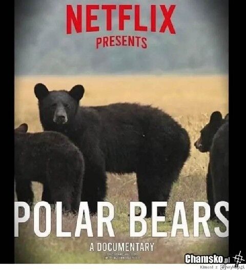 38b5ab9a-291b-4db1-a0e7-6865cc0f290f