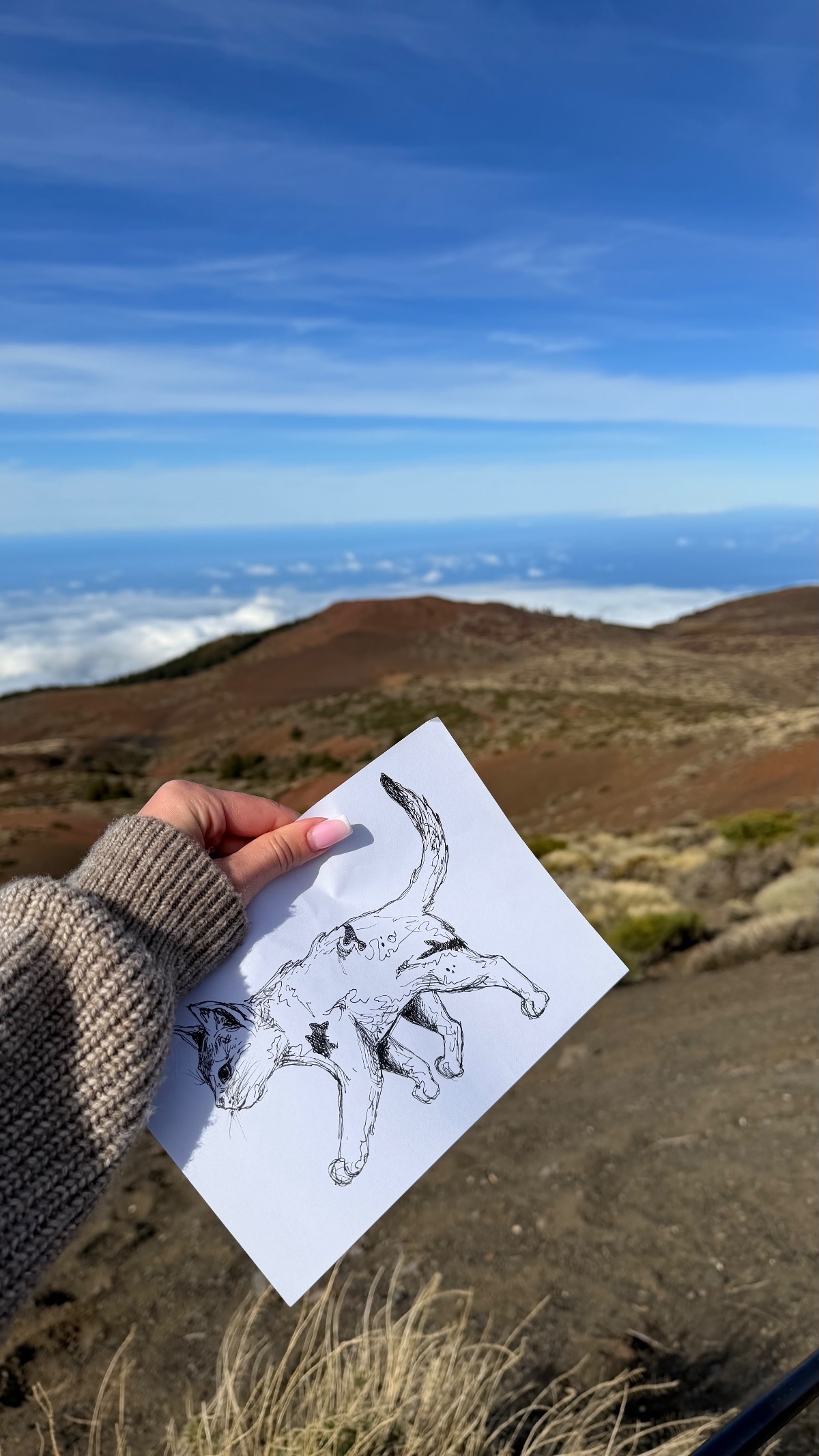 367f0f61-2225-4eca-87cb-5b88c40e843a