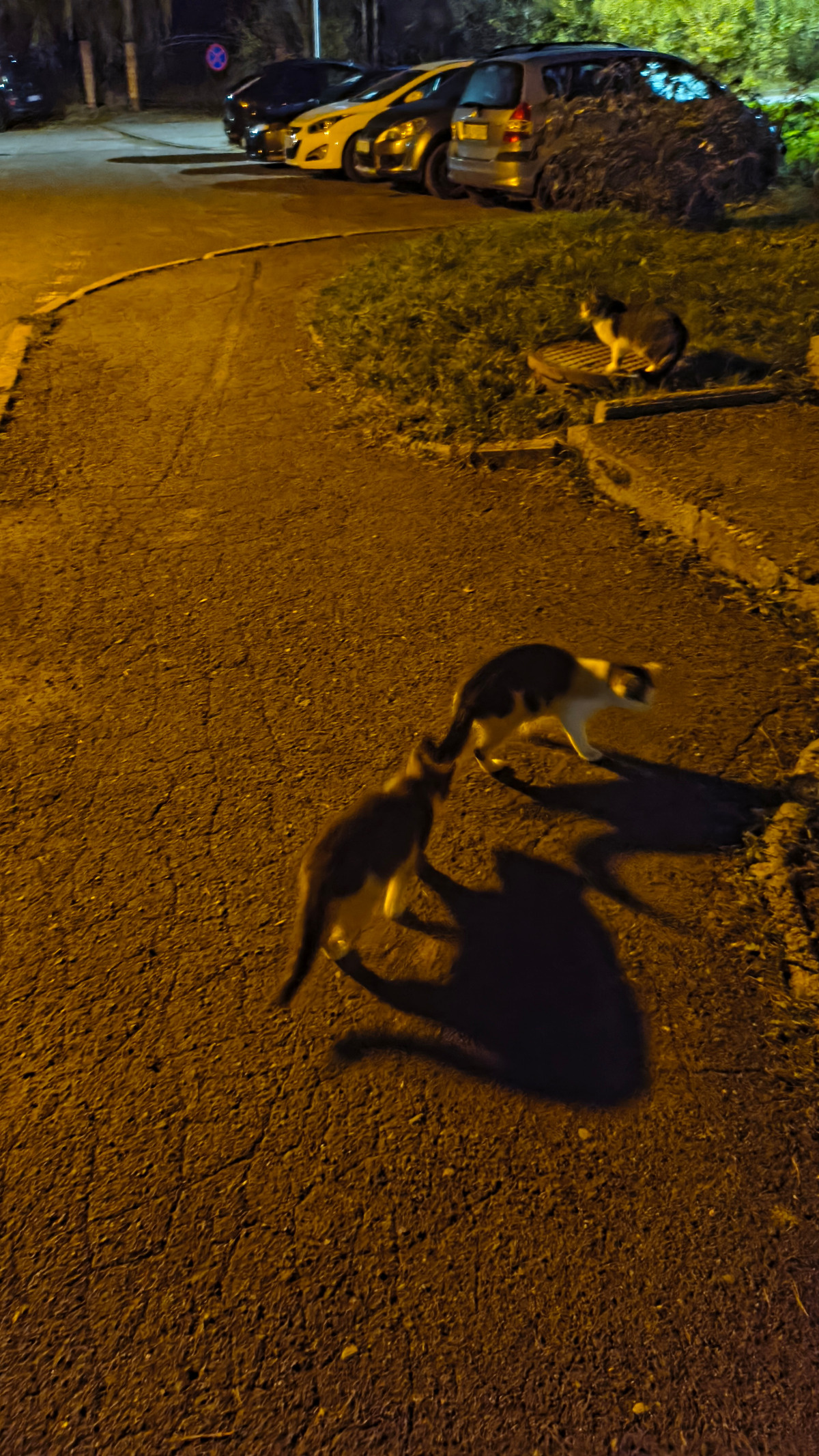 bf513185-3ba7-4001-a1f2-1310acfd1c85