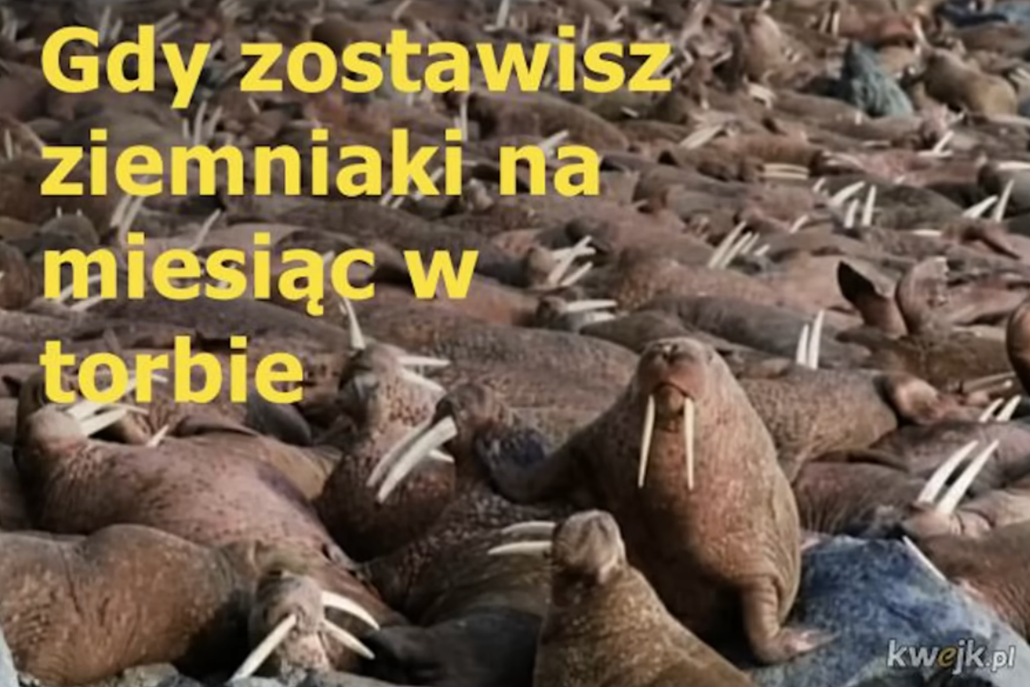 633b0a0d-5f81-4455-891a-be67dd44cacb