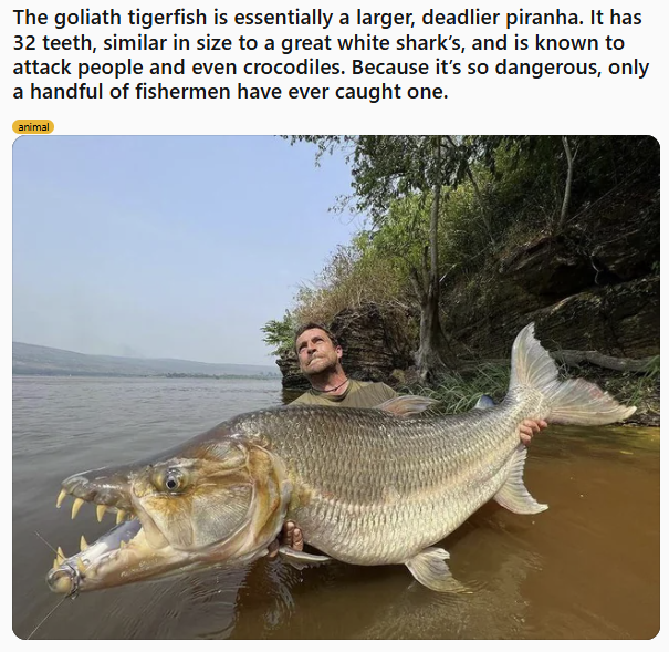 9bd6a169-dea6-4596-9abd-a0c2f77d75b1