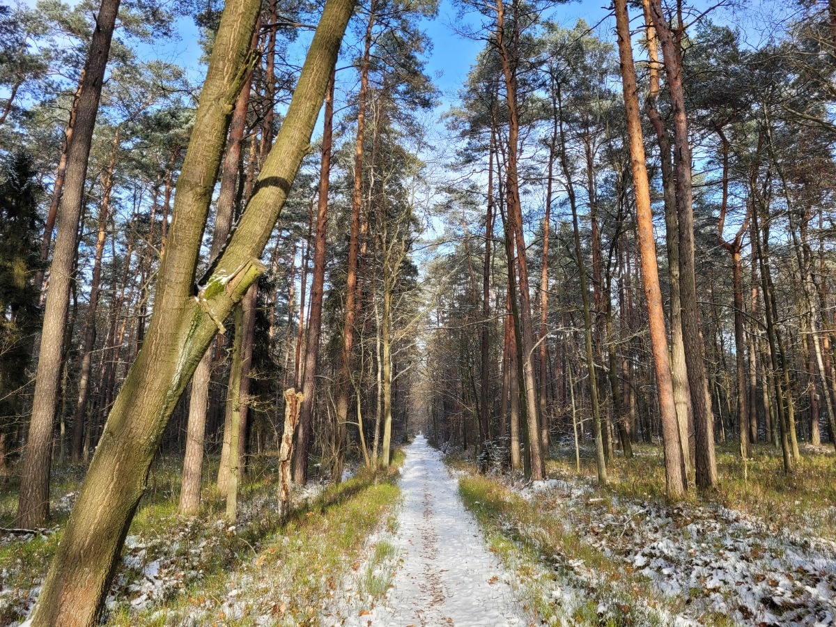 a6aa8e54-1c10-4ee5-b72b-18c3e528a8ae