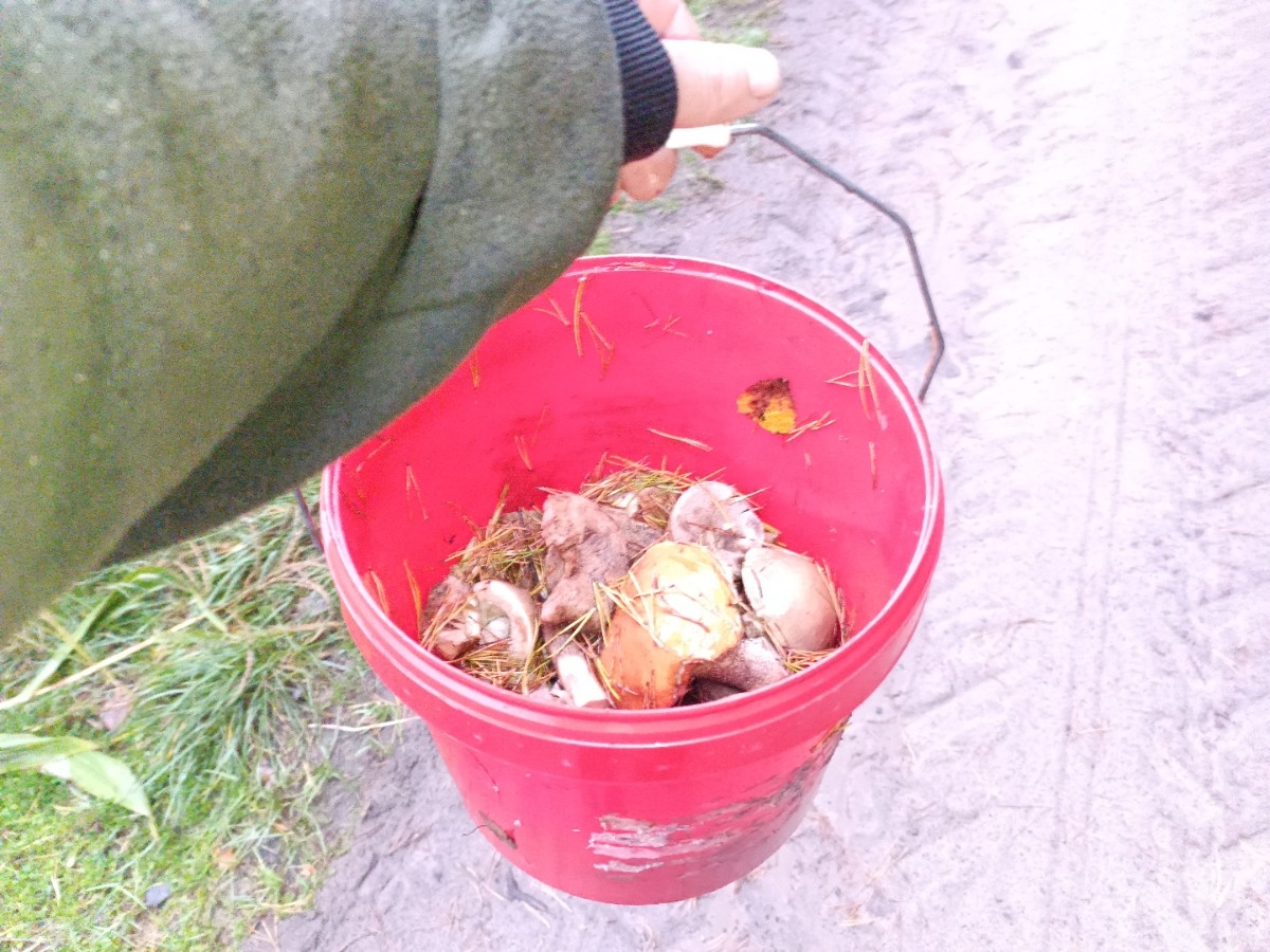 d40df07f-a091-4900-8998-6d041b7d6c29