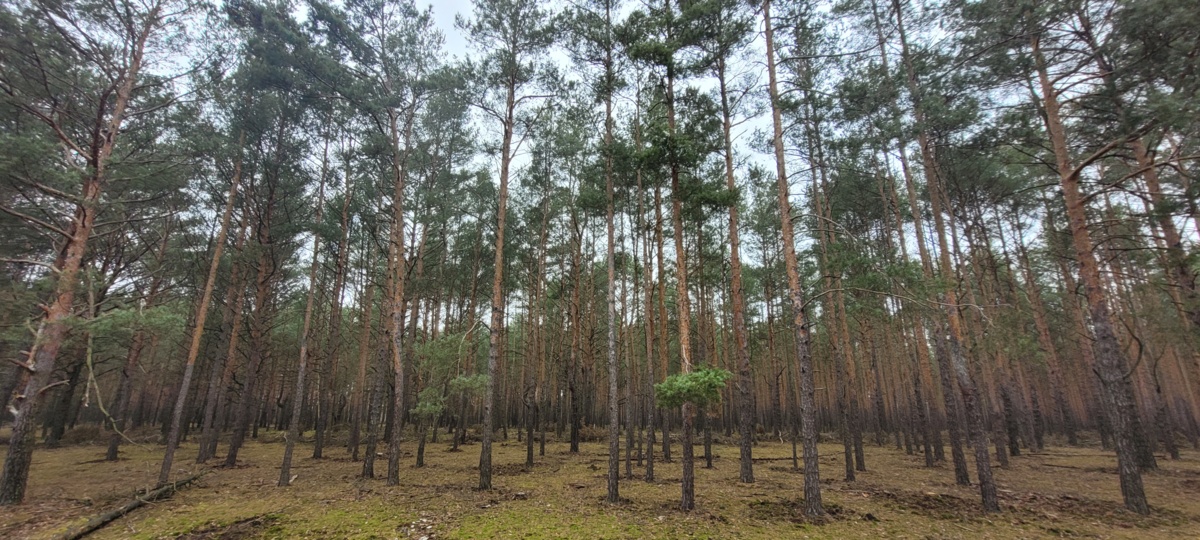 2969b2c2-f2a4-4a40-9021-61f536a2cfdb