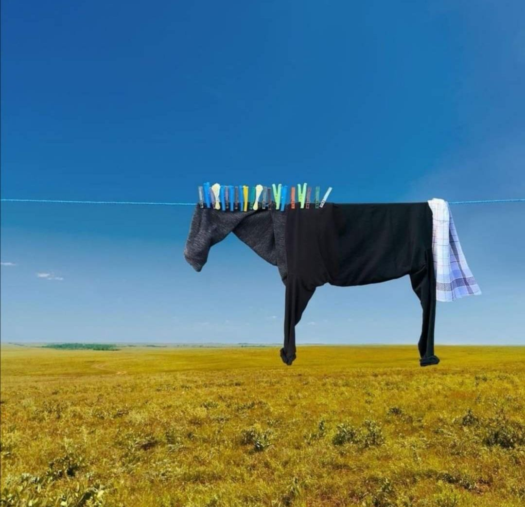 d0964018-bf26-4caa-b32b-01c01fb9d712