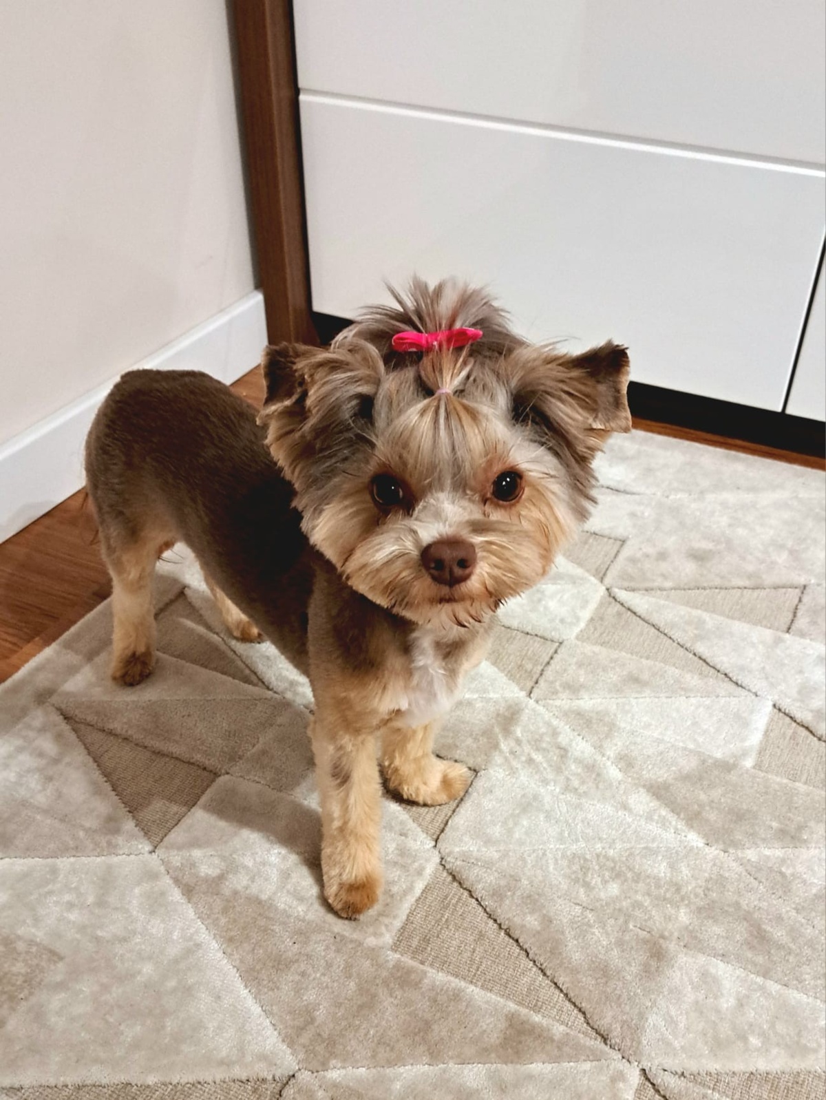 ef57516f-7838-4109-b46f-3f9d8cb2a5ee