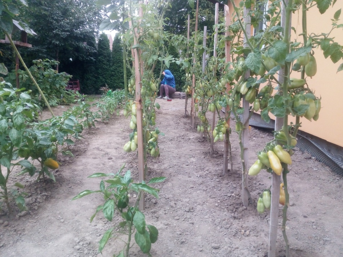 7d359df4-3b47-431e-8c90-ba9239a3e1eb