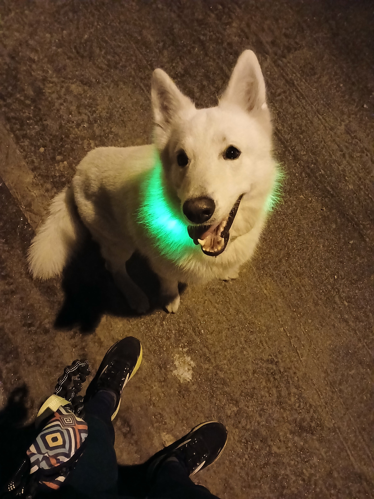 986d6d9f-7d7e-4b3a-9018-ab601636255f