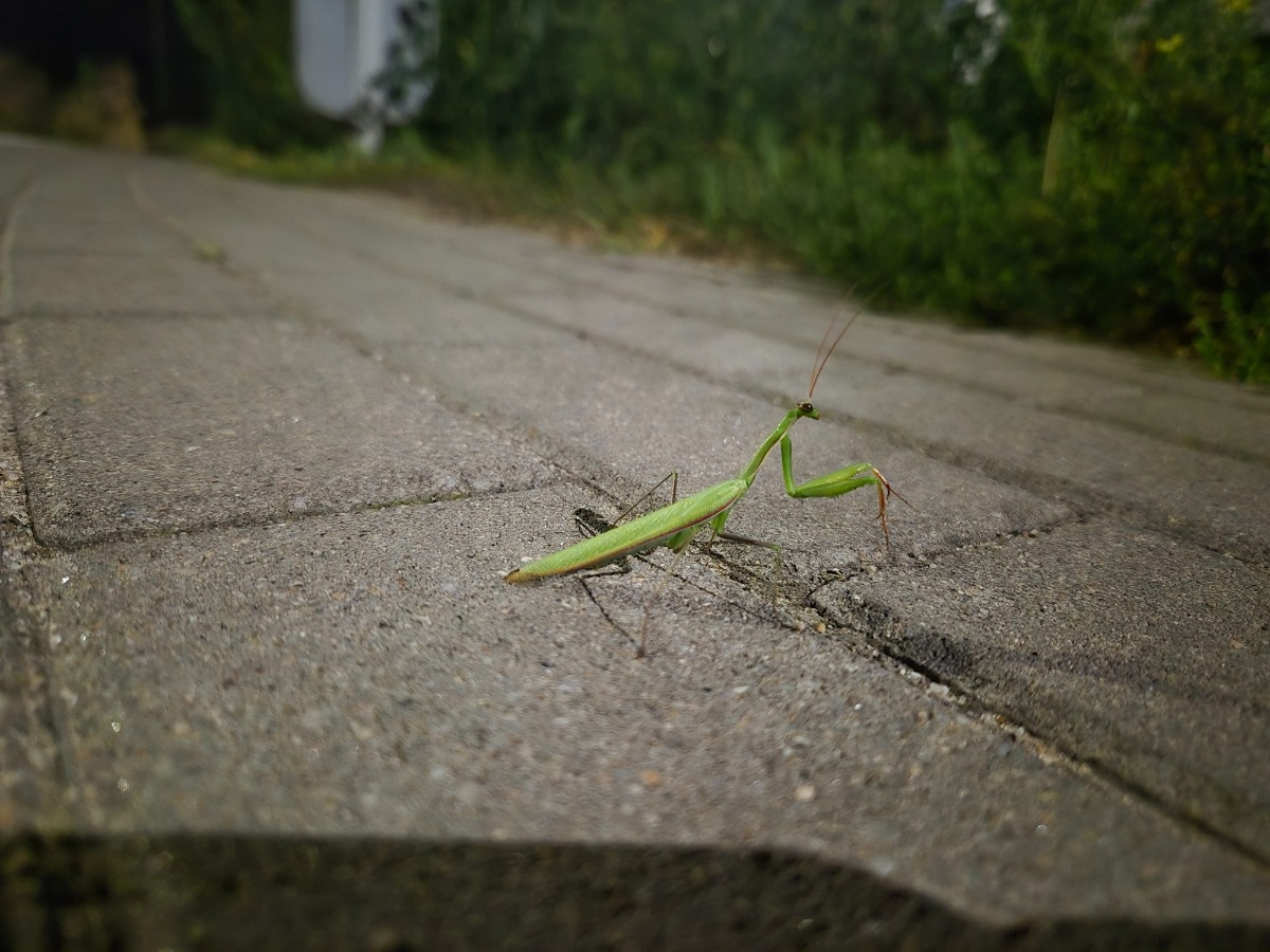 fcdfe756-eeb2-45a2-b936-834e25358696